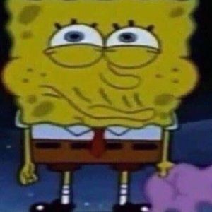 Meet your Posher, Paige